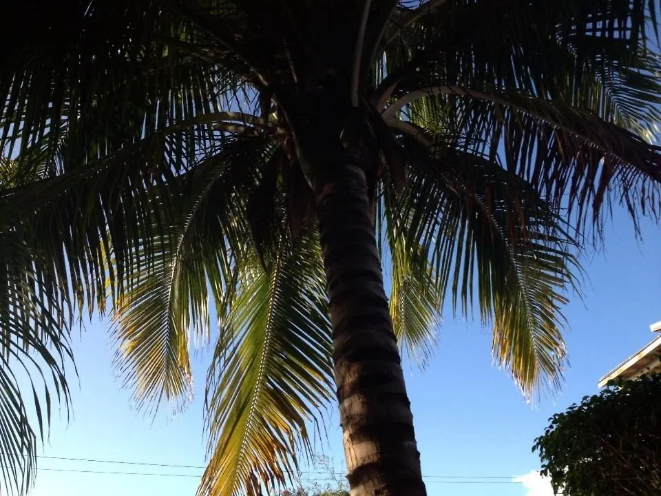 Marblue Apartment Treasure Beach